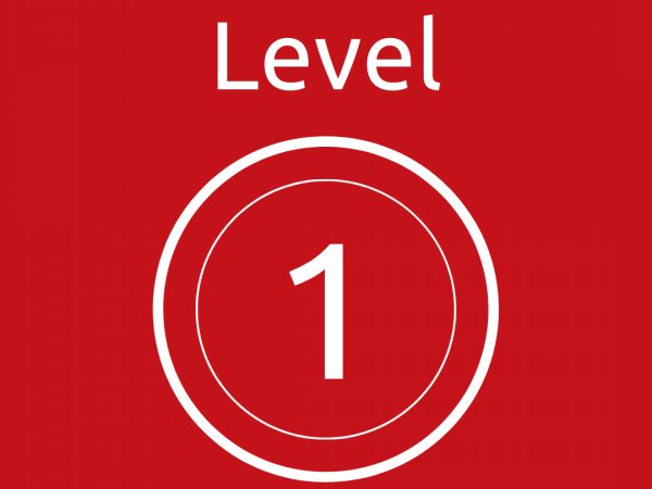 Level 1