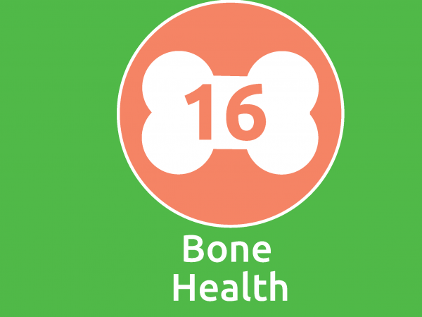 Bone Health 