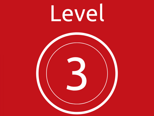 Level 3