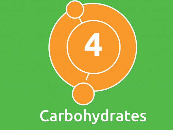 Carbohydrate Workshop