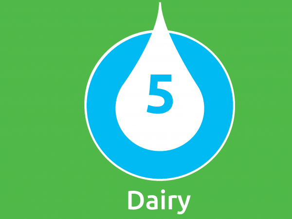 Dairy