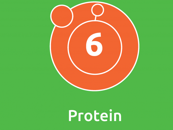 Protein