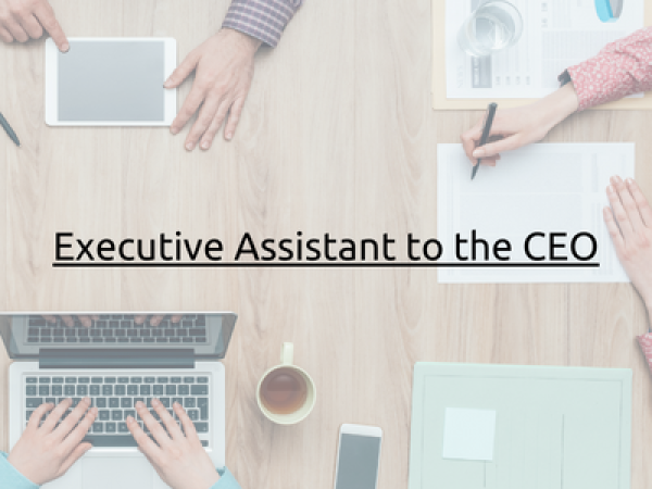 Executive Assistant to the CEO