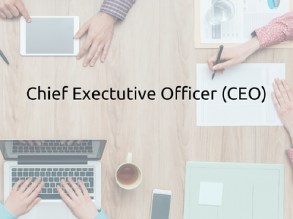 Job listing ceo