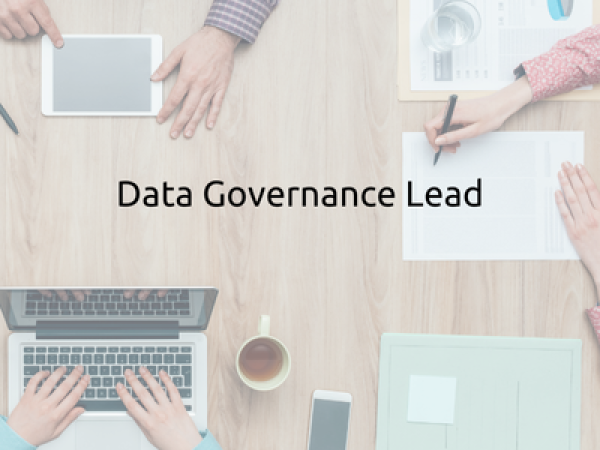 Data governance lead