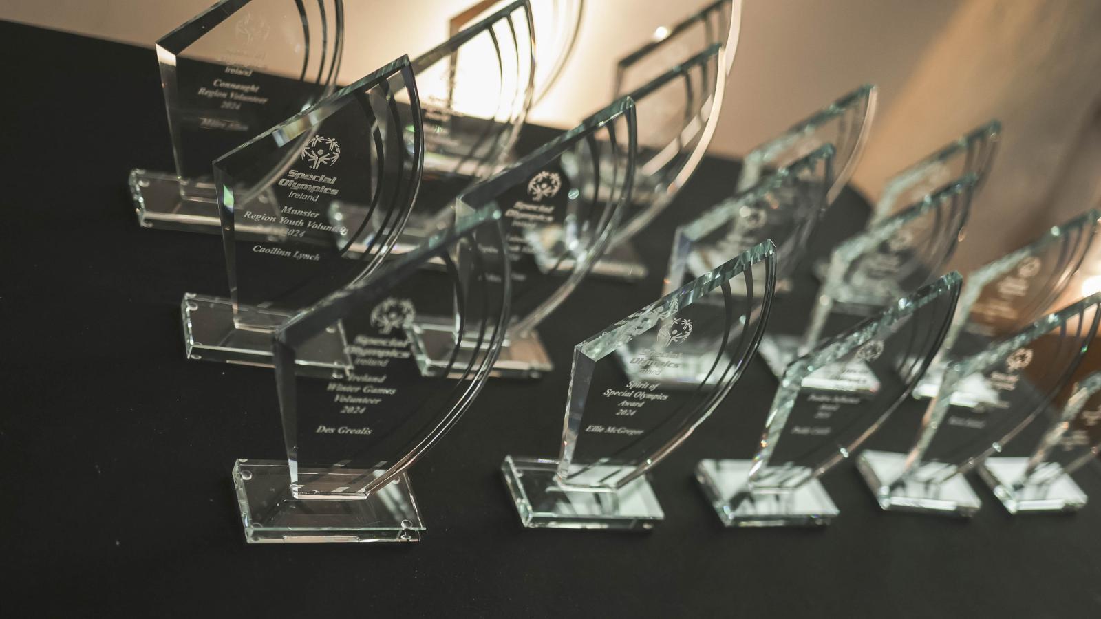 2024 Volunteer Awards table