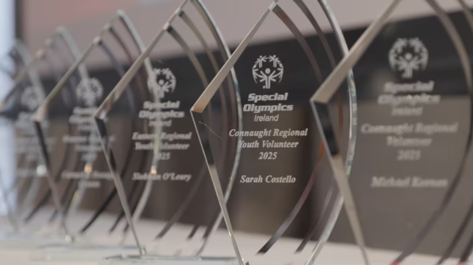 This image shows examples of the award trophies that award recipients received at the Special Olympics Ireland Volunteer Awards 2025